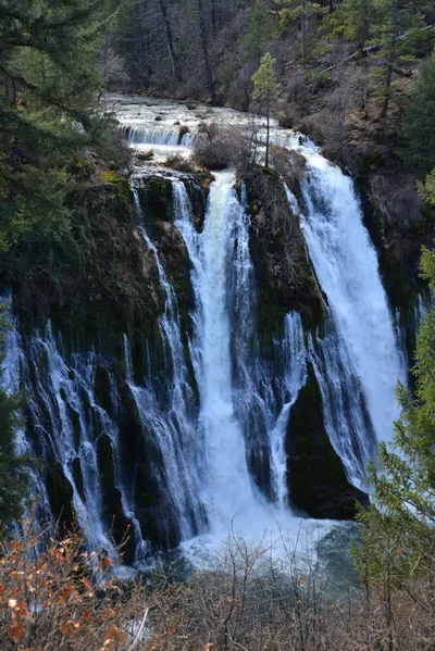 DSC_5914 (Large).JPG